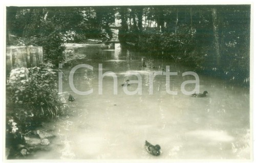 1930 salice terme laghetto - 1930,