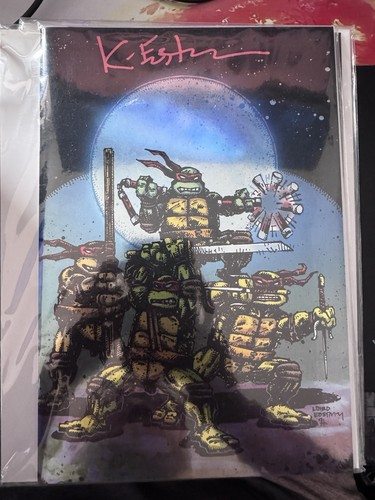 Teenage mutant ninja - teenage,