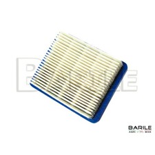 Filtro Aria / Cartuccia