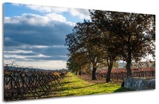 Quadro moderno Paesaggio Vigna