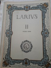 "LARIUS LA CITTA' ED IL LAGO