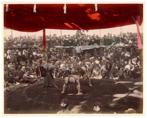 Japan sumo vintage print - sumo,