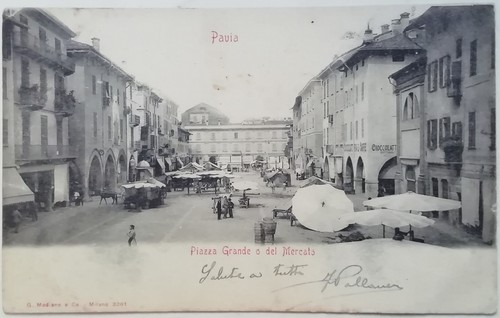 Cartolina pavia mercato - pavia,
