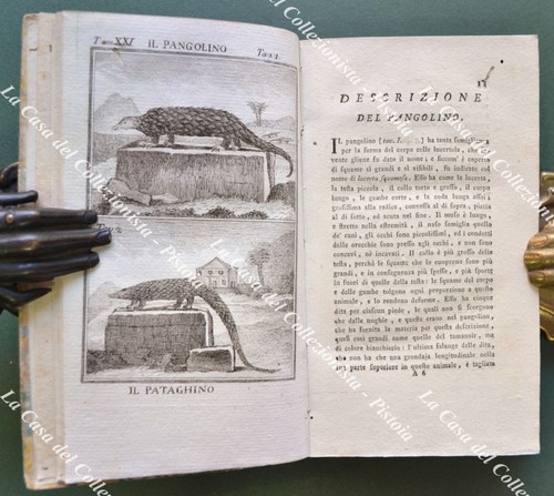 Storia naturale zoologia - storia,