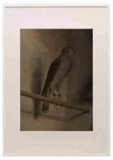 Quadro stampa incorniciato