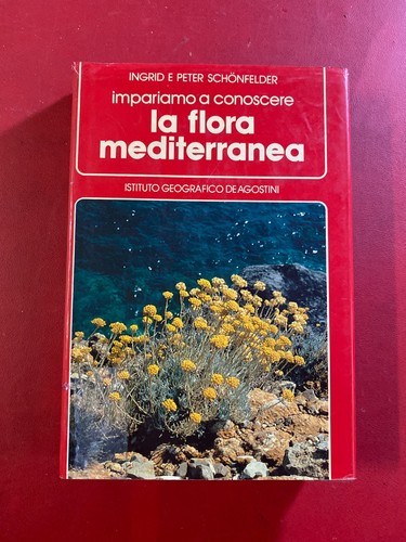 Schonfelder impariamo a - -,