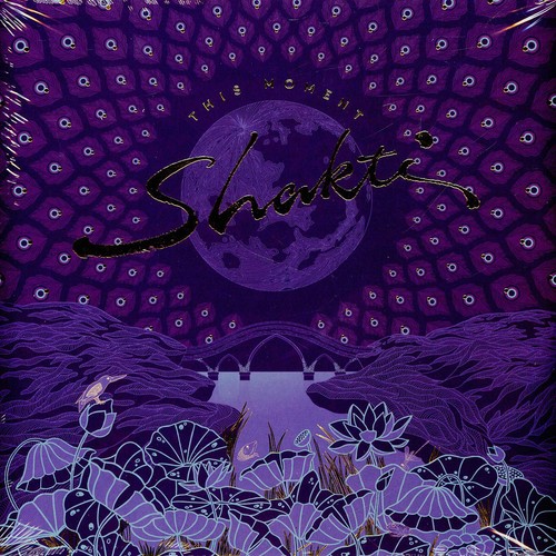Shakti this moment vinyl - -, (vinyl