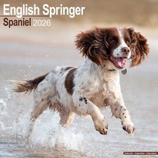 Calendario Inglese Springer
