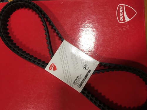 Cinghie distribuzione ducati - cinghie,