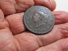 Testa di coronetta 1820 grande