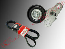 Cinghie A Coste E Tenditori