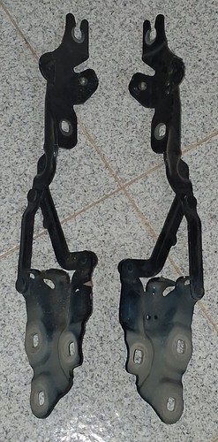 Cerniere cofano anteriore - cofano,