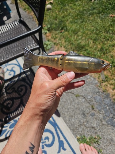 Deps silent killer 175 - deps,