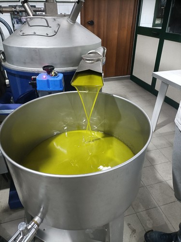 Olio extravergine oliva - , 1
