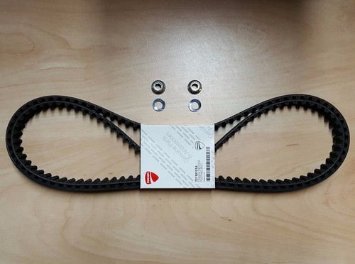 Kit cinghia distribuzione cam - cinghia,