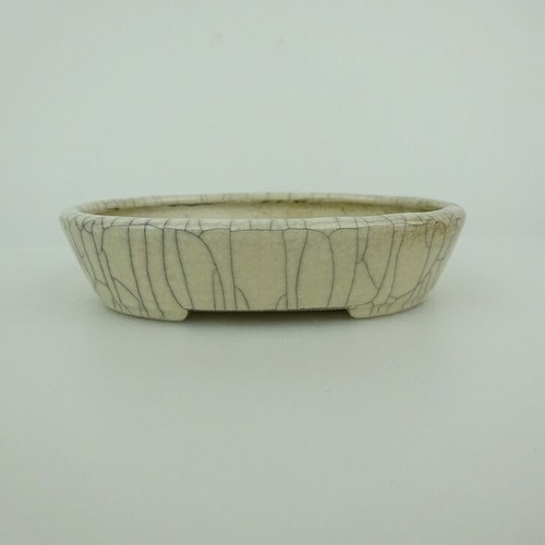 Vaso per bonsai - , giapponese