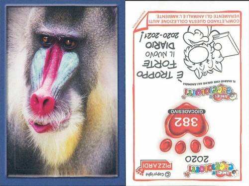 Figurina sticker originale - figurina,