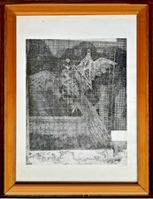 Grande acquaforte numero 11/35