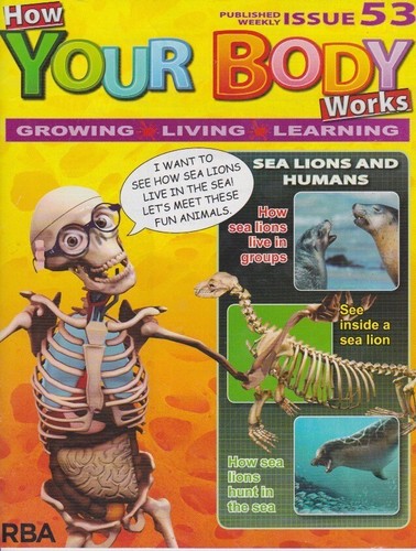 How your body - , works-issue