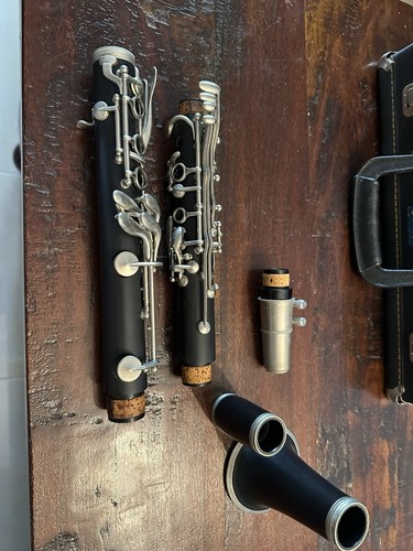 Clarinetto con custodia - clarinetto,