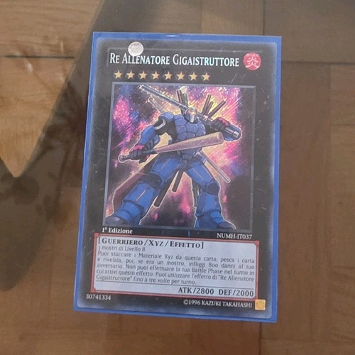 Re allenatore - yu-gi-oh!,