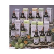 ZEF09 IMMUNO PLANT STV