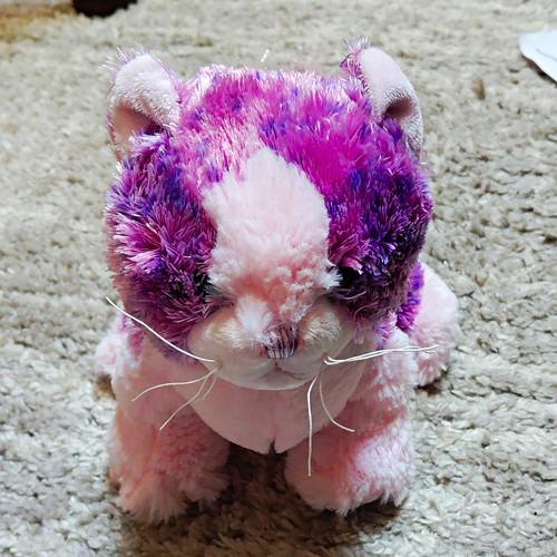 Ganz webkinz pom - pom, kitty