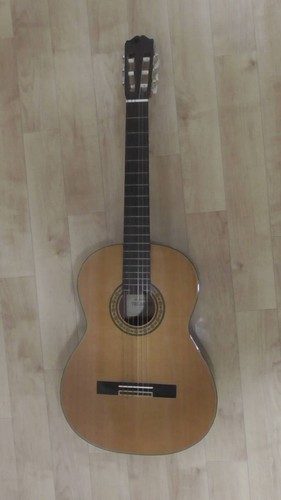 Chitarra acustica vintage