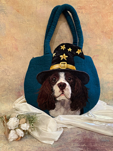 Borsa spaniel springer - spaniel, in