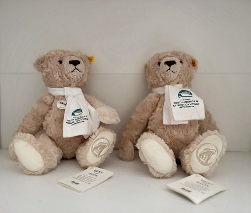 Coppia orsacchiotti steiff - coppia,