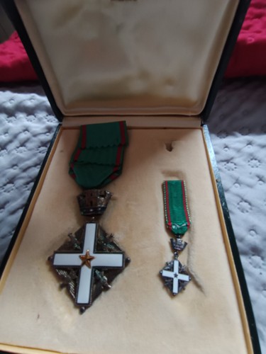 Cavaliere ordine merito del - cavaliere,