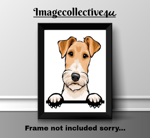 Fox terrier cane animale - terrier,