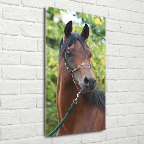 Stampa vetro tulup wall art - su,