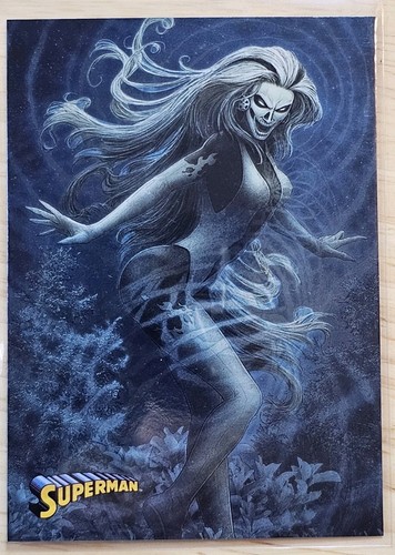 2013 cryptozoic comics - dc,