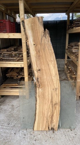 Tavola legno ulivo - tavola, di