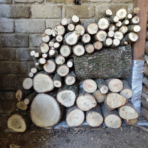 Legna ardere quercia - ardere,