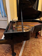 pianoforte a mezza coda Young