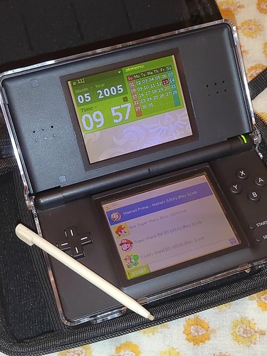 Nintendo con custodia - ds, /