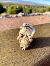 Netsuke fossile - Teschio con