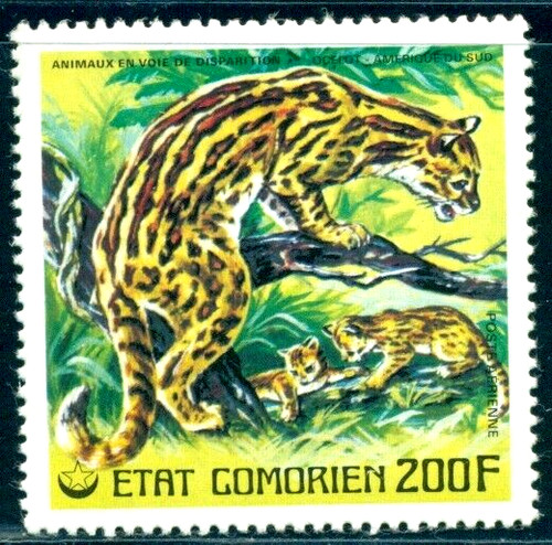 1977 animali via di - in,