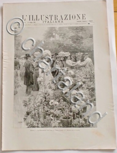Illustrazione italiana - l'illustrazione,