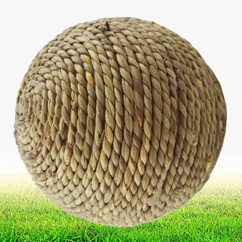 Giocattolo masticare per - da,