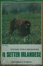 IL SETTER IRLANDESE VITALE
