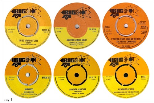 Reggae records vinyl - reggae,