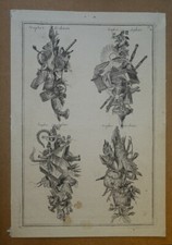 BELLA INCISIONE XVIII°