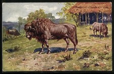 Cartolina Artistica Roma