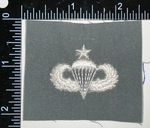 Toppa distintivo tuta volo ali