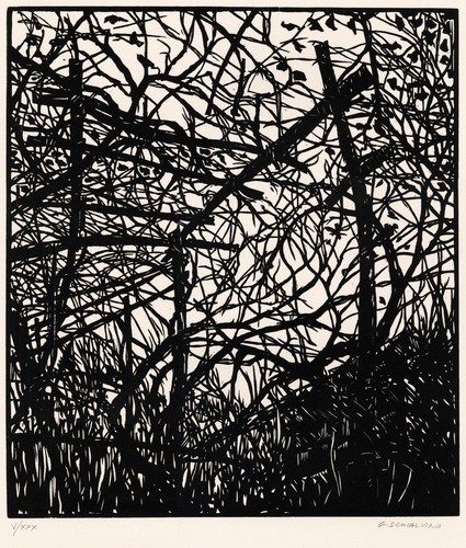 Schialvino gianfranco la - schialvino, "la