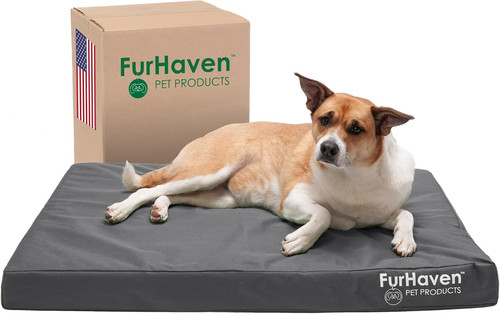 Cuccia per cani gel - per, in