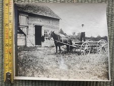 Antica fattoria carro cavalli
